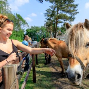 Camping de Reeënwissel